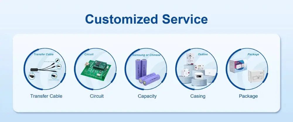 OEM and customization considerations for B2B buyers
