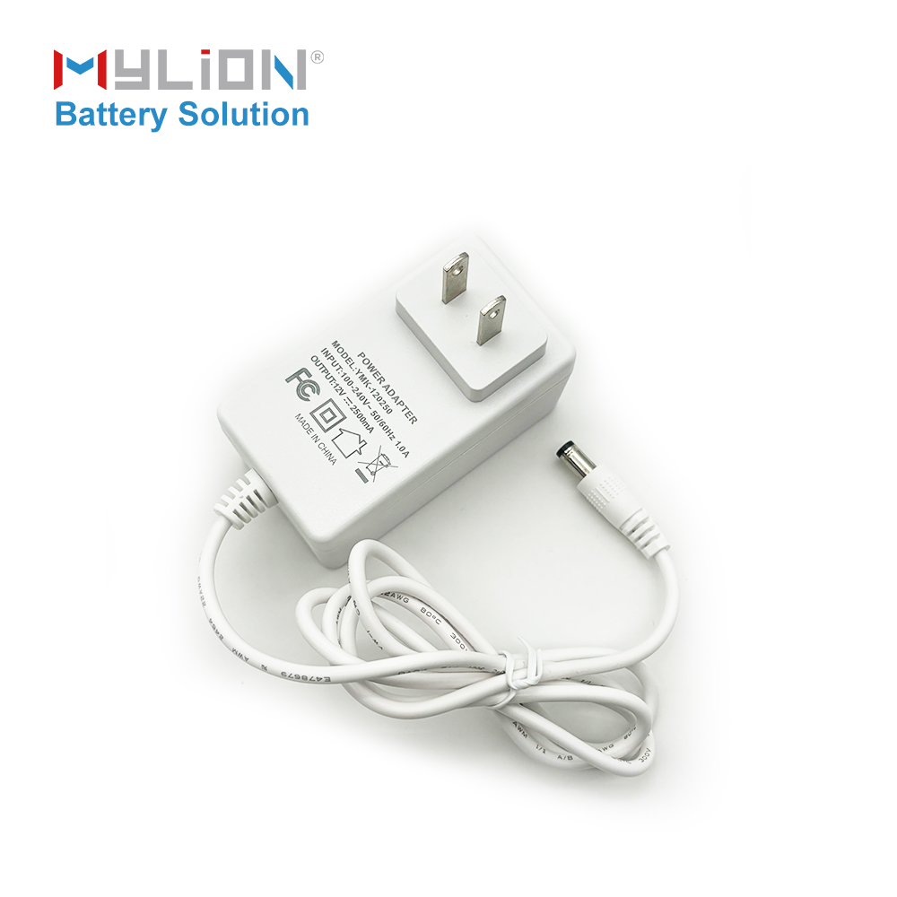 12V 2.5A Power Adapter
